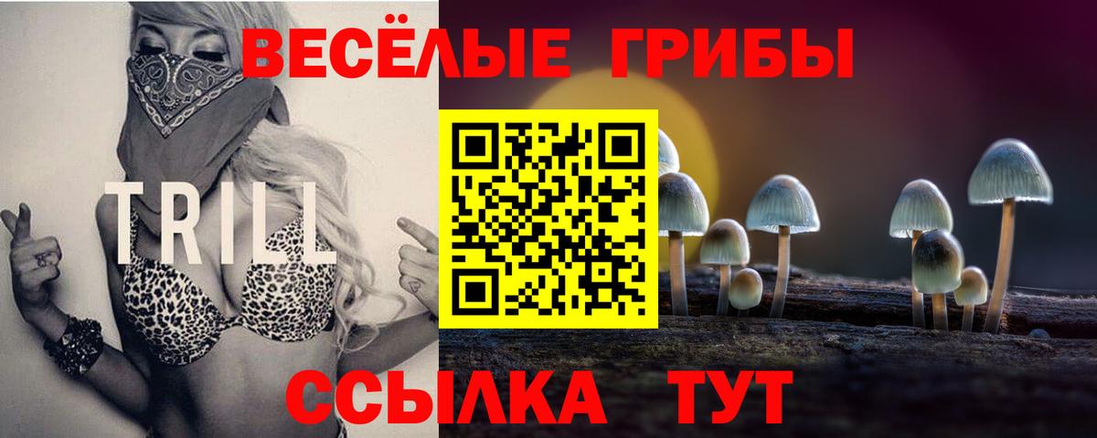 Луга  Псилоцибиновые грибы Magic Shrooms  Вход с VPN 